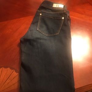 Beautiful Baby Phat Jeans